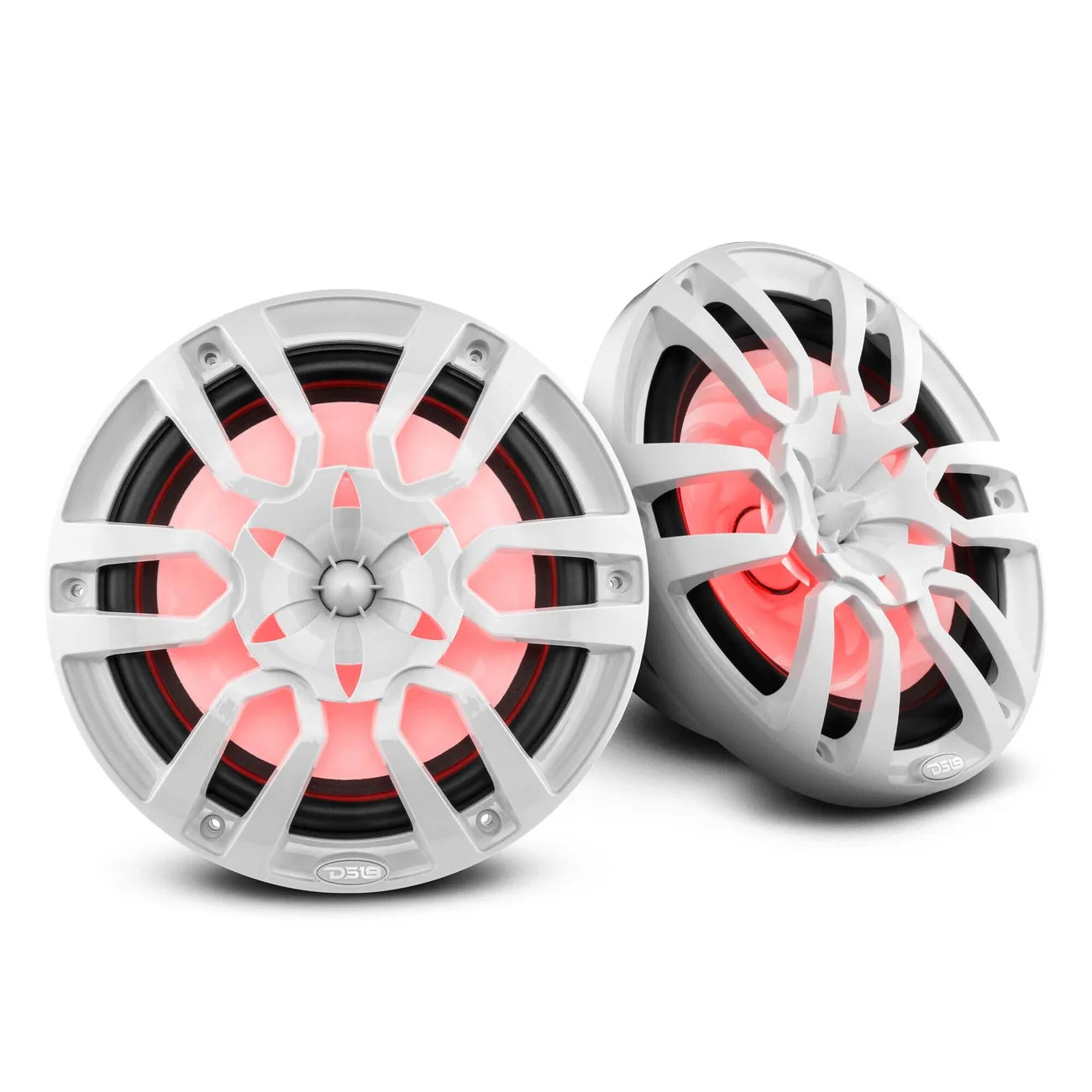 DS18 NXL-10 10"