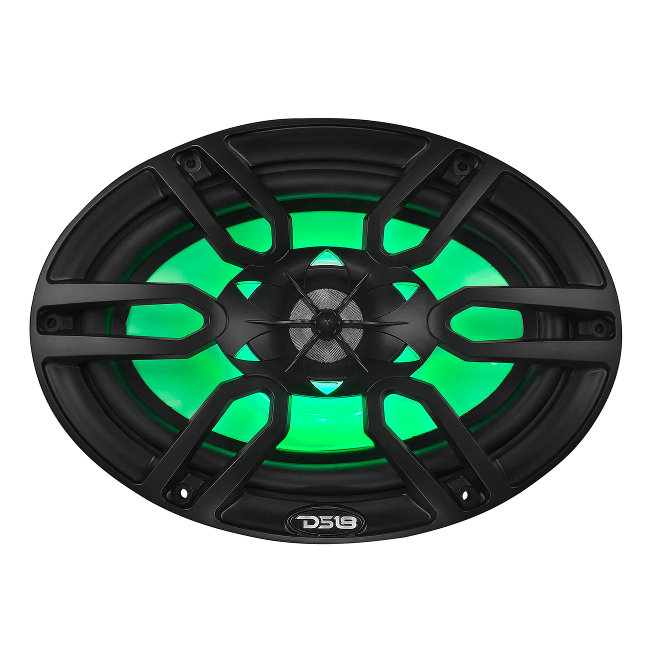 DS18 NXL-69 6x9"