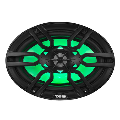 DS18 NXL-69 6x9"
