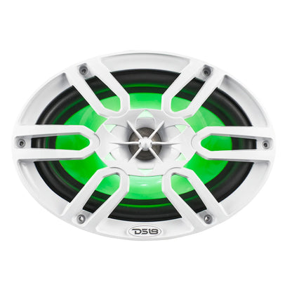 DS18 NXL-69 6x9"
